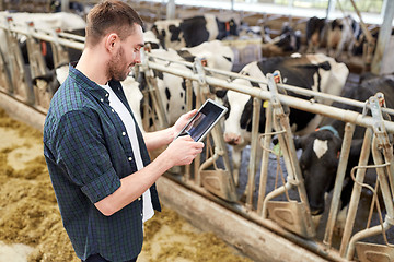 Image showing young man with tablet pc and cows on dairy farm