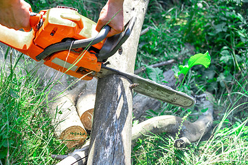 Image showing Chainsaw cut wooden logs