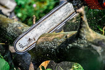 Image showing Chainsaw cut wooden logs