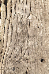 Image showing the destruction of wood from moisture