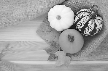 Image showing Three autumn gourds with maple leaves 