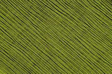 Image showing Light green crinkled fabric background texture