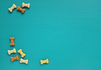 Image showing Dog biscuits scattered on a turquoise background