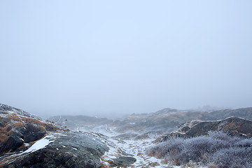 Image showing Foggy winter landscape