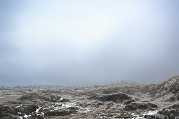 Image showing Foggy winter landscape