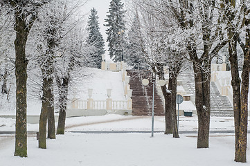 Image showing City park in the winter, the trees covered with hoarfrost