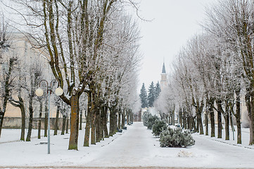 Image showing City park in the winter, the trees covered with hoarfrost