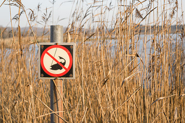 Image showing Fishing forbidden sign by a lake