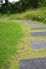 Image showing Pathway stone in a nature garden.