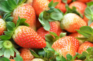 Image showing Fresh ripe strawberry