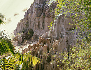 Image showing green landscape with palms and white sand rocks, fairy stream vi