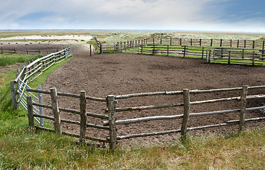 Image showing Fence in a Danish landscapes in the summer