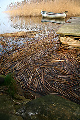 Image showing View on a beautiful  lake in scandinavia in denmark 