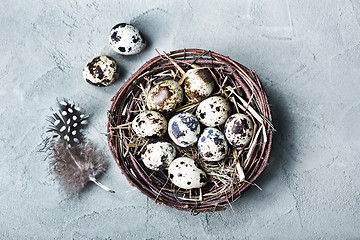 Image showing quail eggs