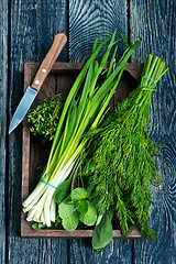 Image showing fresh greens