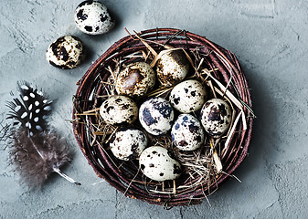 Image showing quail eggs