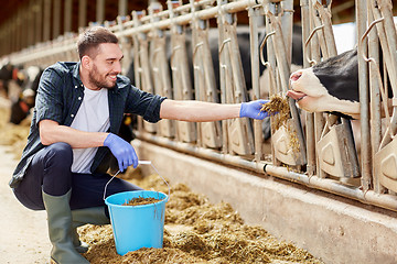 Image showing man feeding cows with hay in cowshed on dairy farm