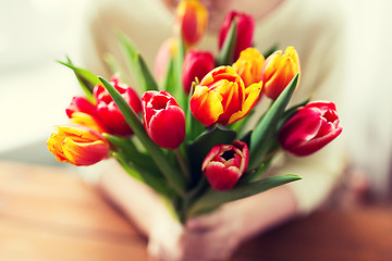 Image showing close up of woman holding tulip flowers