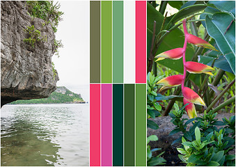 Image showing Beach on tropical island. Flowers. Collage