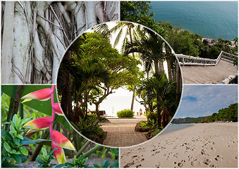 Image showing Beach on the tropical island. Thailand. Flowers. Collage