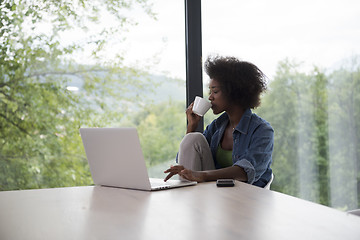 Image showing African American woman in the living room