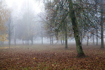 Image showing Fog in autumn season