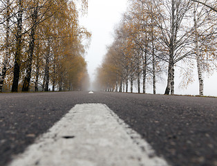 Image showing asphalted road, autumn