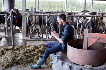 Image showing young man with tablet pc and cows on dairy farm