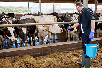 Image showing man with cows and bucket in cowshed on dairy farm