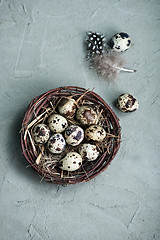 Image showing quail eggs