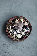 Image showing quail eggs