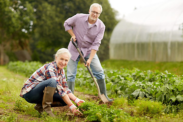 Image showing senior couple working in garden or at summer farm