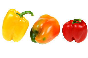 Image showing Colorful paprika