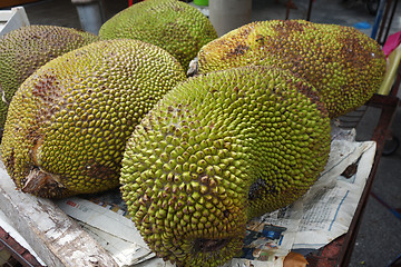 Image showing Jackfruit, also known as jack tree