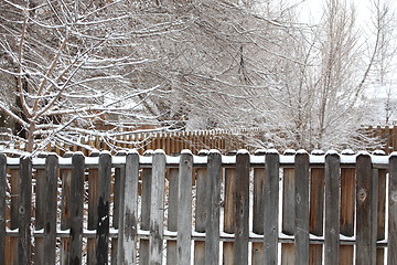 Image showing Winter snow.