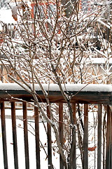 Image showing Winter snow.