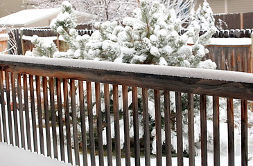 Image showing Winter snow.