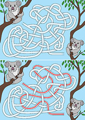 Image showing Koala maze