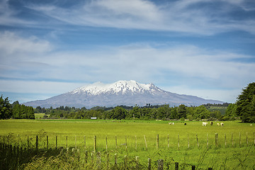 Image showing Mount Ruapehu volcano in New Zealand