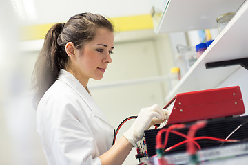 Image showing Life science researcher setting voltege on power supply to run electrophoresis.