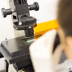 Image showing Life science researcher microscoping in genetic scientific laboratory.