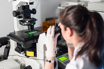 Image showing Life science researcher microscoping in genetic scientific laboratory.