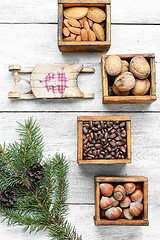 Image showing Wild nuts for Christmas