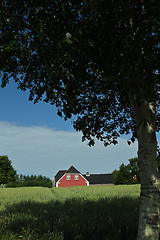 Image showing Red house in Danish landscapes in the summer