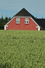 Image showing Red house in Danish landscapes in the summer