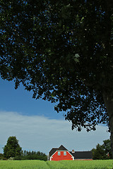 Image showing Red house in Danish landscapes in the summer