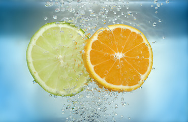 Image showing Lemon and tangarine slices