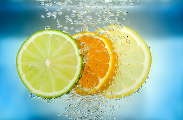 Image showing Citrus slice in water