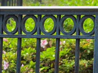 Image showing Black Iron Fence