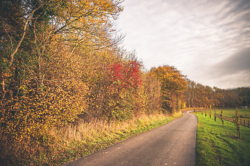 Image showing Countryside landscape in the fall